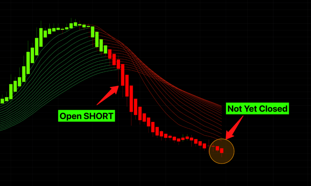 Short trade on Risological trading indicator